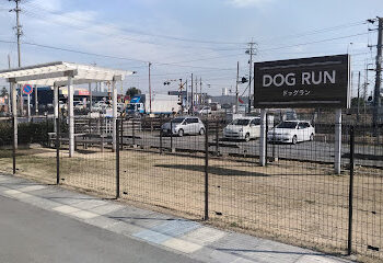 Dog-Run わんわん広場