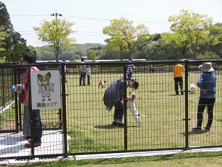 木場潟公園ドッグラン