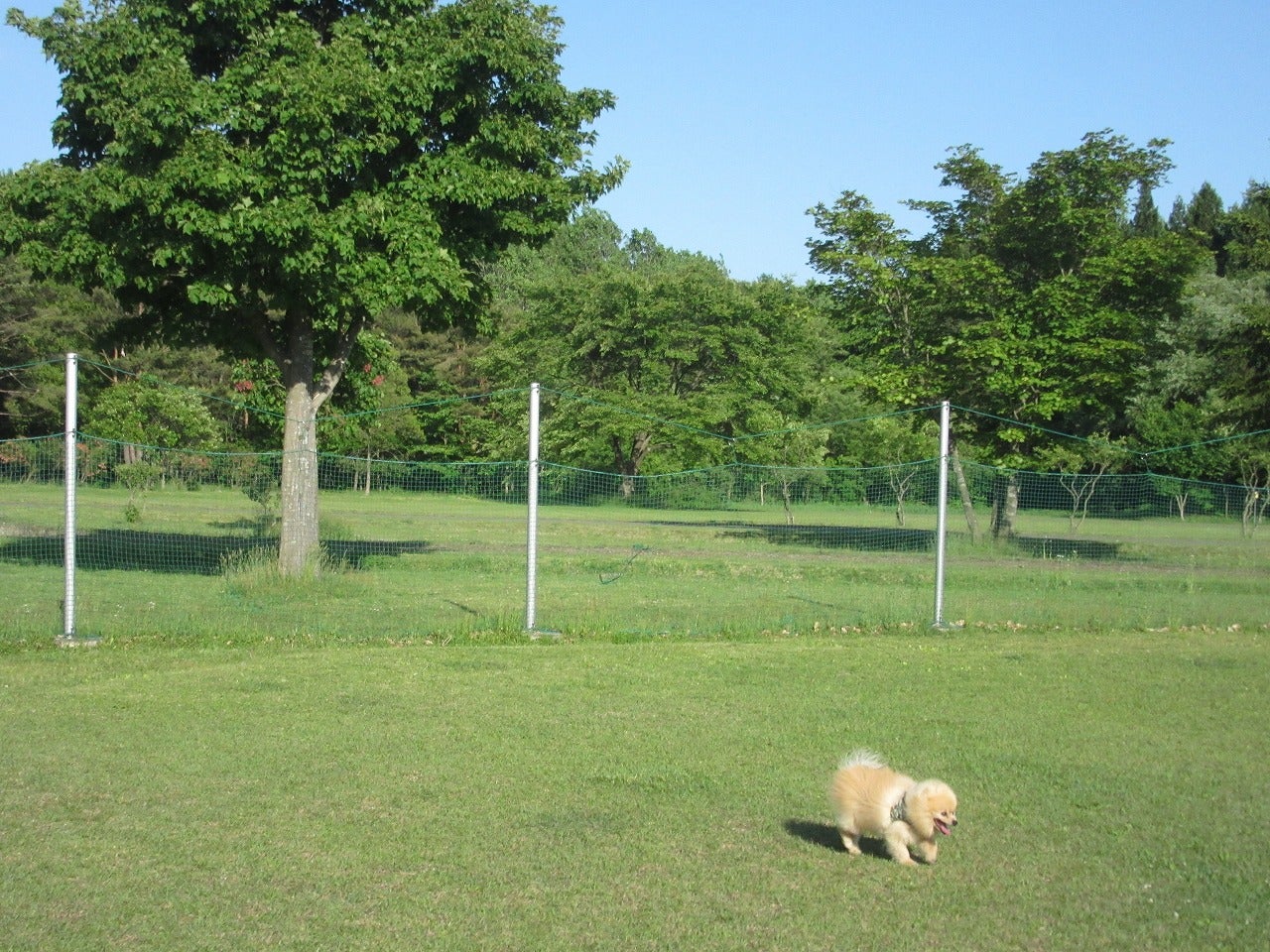 北欧の杜公園