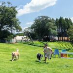 アニマルズヒル ドッグラン